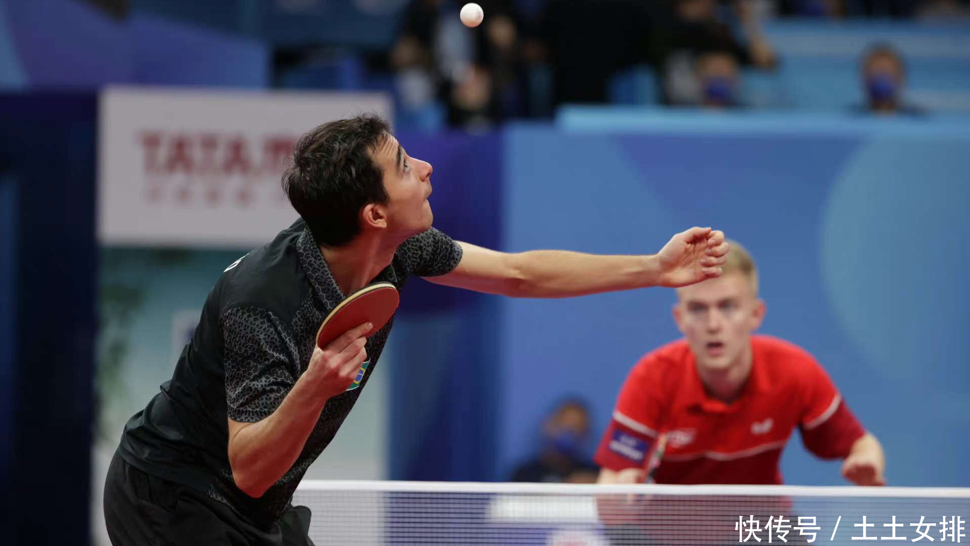 杂化和商业 杂化和商业